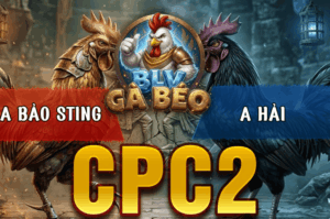 Trận 2 Bồ CPC2 20/3/2026 - Điều Cọp Chấp Idol Hạ Idol Trong Vòng 3 Nốt Nhạc