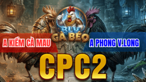 A Kiểm Cà Mau Chấp 1 Cựa Mang Chân Phải Vẫn Về Bờ Vui Vẻ - Trận 22 Bồ CPC2 24/3/2026