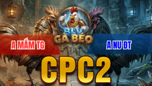 Trận 23 Bồ CPC2 26/3/2026 - Cú Cọp Gặng Hàng Hiệu Bị Đá Gãy Dò Thua Đáng Tiếc