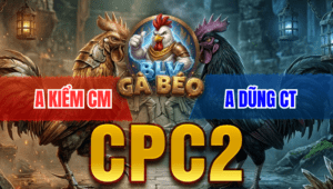 Trận 22 Bồ CPC2 17/3/2026 - Bướm Bươi Chà Đá Lọt Cây Cú Bỏ Chạy Bay Bồ