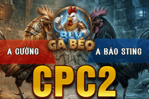 Idol Bảo Sting Phản Ăn 1 Phút 90 Khiến Cả Bồ Bể Nợ - Trận 22 Bồ CPC2 20/3/2026