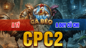 Trận 24 Bồ CPC2 23/3/2026 - Úa Chưa Thả Đá Ăn 6 Buông Ra Xám Đá Gãy Cánh Bung Bồ