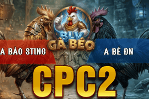 Trận 24 Bồ CPC2 20/3/2026 - Bảo Sting Chơi Ngông Đồng Trạng Đá Chấp 2 Cây Trên