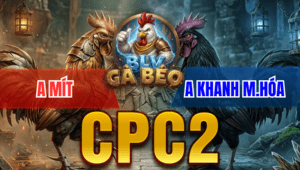 Trận 25 Bồ CPC2 25/03/2026 - Điều Kêu Cứu Chạy Sau 2 Tay Nước