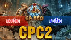 Trận 25 Bồ CPC2 23/3/2026 - Xanh Chấp 2 Chấm Vần Về Bờ Nhẹ Nhàng