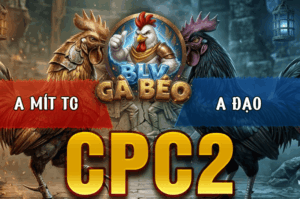 Trận 26 Bồ CPC2 20/3/2026 - Mít Trà Cú Đá 1 Cựa Chồng Độ Gặp Đối Thủ Chấp Ngược 1 Ký 2