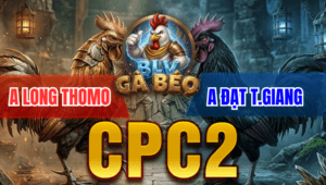 Trận 3 Bồ CPC2 25/3/2026 - Gà Xanh Đá Chân Quá Khéo Đỏ Trâu Bò Đá Phản Ăn Ngược