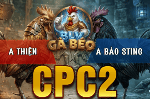 Trận 3 Bồ CPC2 20/3/2026 - Điều Idol Gãy Cánh Phản Vẫn Phản Ăn 2 Quá Hay