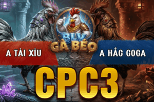 Trận 38 Bồ CPC3 22/3/2026 - Đỏ Bươi Chà Đá Hắc Coca Cây Xỉu