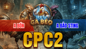 Trận 41 Bồ CPC2 17/3/2026 - Bướm dol Chấp Ngông Vẫn Về Bò Thành Công