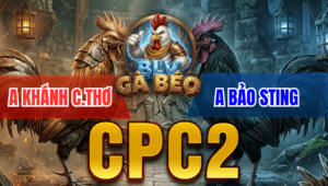 Trận 5 Bồ CPC2 18/3/2026 - Bướm Đá Điều Cứng Mình Muốn Chạy Bị Phản Cây Oí Chết