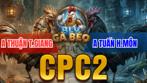 Trận 5 Bồ CPC2 19/3/2026 - Úa Bóp Chân Quá Lớn Khét Liệt Chân Nằm Biệt