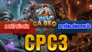 Trận 50 Bồ CPC3 22/3/2026 - Chuối Qúa Hay Nhưng Mà Bướm Rất Tiếc