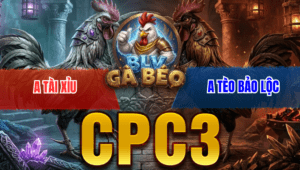 Trận 52 Bồ CPC3 22/3/2026 - Bướm Đá Cây Như Trời Giáng Đâm Đỏ Té Tuyệt Đối