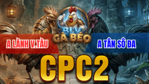 Trận 6 Bồ CPC2 18/3/2026 - Điều Đá Que Dắt Xe Đi Cầm