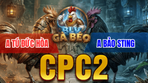 Xổ 500 Cú Idol Bảo Sting Bị Bướm Cọp Hạ Màng - Trận 6 Bồ CPC2 24/3/2026