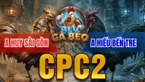 Trận 8 Bồ CPC2 23/3/2026 - Bướm Đưa Đầu Cho Điều Đá 2 Chân Bưng Ra