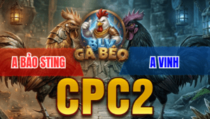 Trận 8 Bồ CPC2 25/3/2026 - Khét Bông Cọp Bảo Sting Ra Sân Idol Gom Sạch Bồ Và Cái Kết