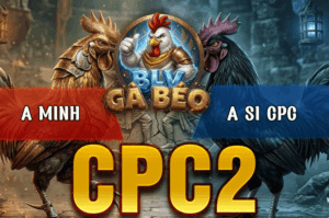 Trận 8 Bồ CPC2 20/3/2026 - Đỏ Đá Xanh Ói Xanh Đá Lại Đỏ Nằm Vừa Đủ Điểm Về