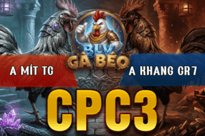 Trận 8 Bồ CPC3 22/3/2026 - Điều Mồng Lá Đá Cây Quá Nghiệ Đâm Điều Râu Anh Mít Xỉu Tại Chỗ