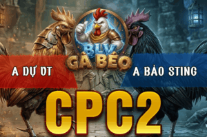 Trận 9 Bồ CPC2 20/3/2026 - Cú Đá Đúng 3 Chân Đâm Uá Idol Té Tuyệt Đối