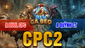 Trận 09 Bồ CPC2 28/3/2026 - Bướm Quá Nhanh Đâm Điêu Mấy Chân Điều Cứng Mình Bỏ Chạy