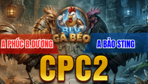 Trận 15 Bồ CPC2 17/3/2026 - Điều Cọp Chú Phút Đá 1 Tay Nước Rinh Que Idol Ra Sân