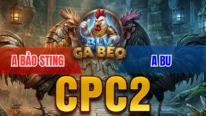 Trận 11 Bồ CPC2 8/4/2026 - Bảo Sting Buôn Đuôi Là Lụm Tiền