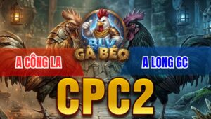 Trận 11 Bồ CPC2 9/4/2026 - Bướm Giao Nạp Quá Tịch Điều Hư Hình Hết Cứu