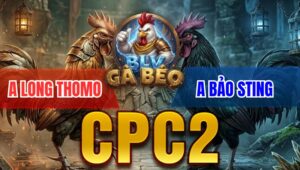 Trận 14 Bồ CPC2 7/4/2026 - Đỏ Đá Mu Lưng Xanh Bưng Ra Ngoài