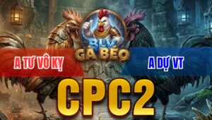 Trận 16 Bồ CPC2 3/4/2026 - Điều Hạ Chuối Chỉ 2 Tay Nước Tháo Cựa