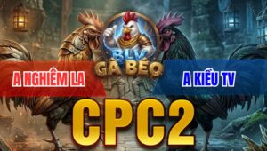 Trận 18 Bồ CPC2 4/4/2026 - Bướm Đâm Quá Tịch Điều Hư Hình Nằm Liệt