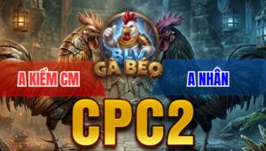 Trận 19 Bồ CPC2 8/4/2026 - Idol Kiểm Quá Hừng Đá 3 Đá Úa Hư Hình