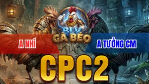 Trận 2 Bồ CPC2 6/4/2026 - Bướm Chấp Ngông Và Cái Kết Điều Đá Chết Tại Chỗ