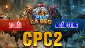 Trận 2 Bồ CPC2 4/4/2026 - Bướm Đá Mu Lưng Điều Nằm Tại Chỗ Sau 1 Tay Nước