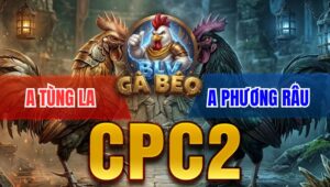 Trận 2 Bồ CPC2 9/4/2026 - Bướm Đá Chân Quá Hiểm Xám Hư Hình Nằm Biệt