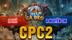 Trận 21 Bồ CPC2 10/4/2026 - Bướm Đá Trên Lưng Bưng Úa Ra Ngoài