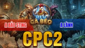 Trận 3 Bồ CPC2 8/4/2026 - Bướm Đâm Quá Tịch Xanh Hư Hình Hết Cứu