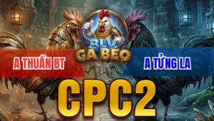 Trận 38 Bồ CPC2 9/4/2026 - Úa Quá Nhanh Đá Điều Không Kịp Xoay Trở Hư Hình