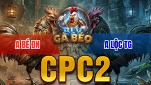 Trận 4 Bồ CPC2 6/4/2026 - Xám Chưa Thả Phóng Ăn 6 Điều Đá 4 Chân Nằm Biệt