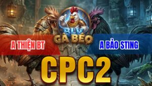 Trận 5 Bồ CPC2 4/4/2026 - Bướm Chấp 300g Nhưng Vẫn HẠ Điều Đơn Giản