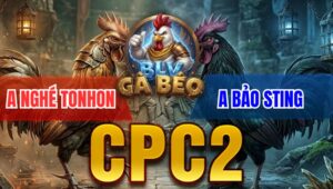 Trận 5 Bồ CPC2 7/4/2026 - Úa Đâm Quá Tịch Đá Bướm Gẫy Cổ Nằm Tại Chỗ