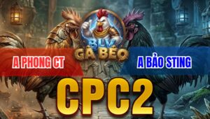 Trận 7 Bồ CPC2 7/4/2026 - Bướm Đá Quá Cựa Điều Hư Hình Hết Cứu