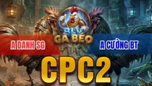 Trận 9 Bồ CPC2 9/4/2026 - Xanh Buôm Đuôi Đỏ Nằm Tại Chỗ Chỉ Sau 1 Tay Nước