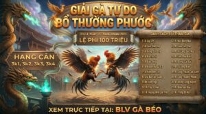 Giải Gà Tự Do Bồ Gà Thường Phước (Hiển Long Xuyên) - Thứ 4 15/4/2026 Lệ Phí 100 Triệu