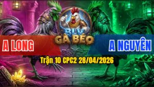 Trận 10 CPC2 28/04/2026 - Úa Vừa Giao Chân Đâm Điều Cây Lọt Ói Chết