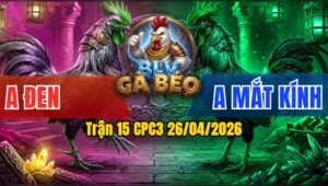 Trận 15 CPC3 26/04/2026 - Gà Cú Đá Cây Trúng Điểm Đỏ Hết Đứng