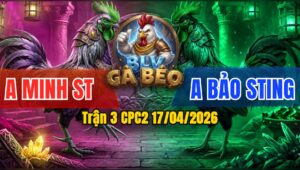 Trận 3 CPC2 17/04/2026 - Chuối Đá Cựa Phải Bông Đá Cựa Trái 2 Con Hòa Sau Phút 90