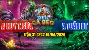Trận 31 CPC2 16/04/2026 - Xanh Đá Trên Lưng Đỏ Bưng Ra Ngoài