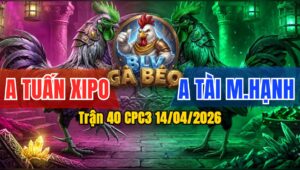 Trận 40 CPC3 14/04/2026 - Đỏ Quá Đẳng Cấp Chồng Độ 3 Vẫn Đá Xanh Nằm 1 Chỗ